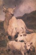 Sir Edwin Landseer Wild Cattle at Chillingham (nn03) oil